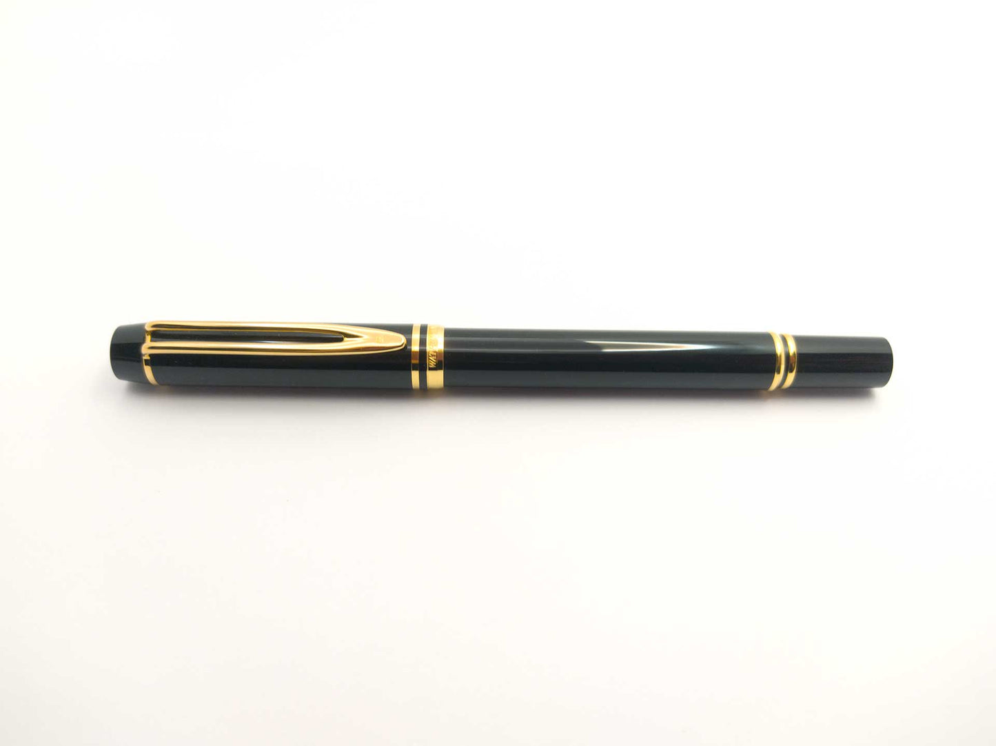 Penna Stilografica Waterman Man 100